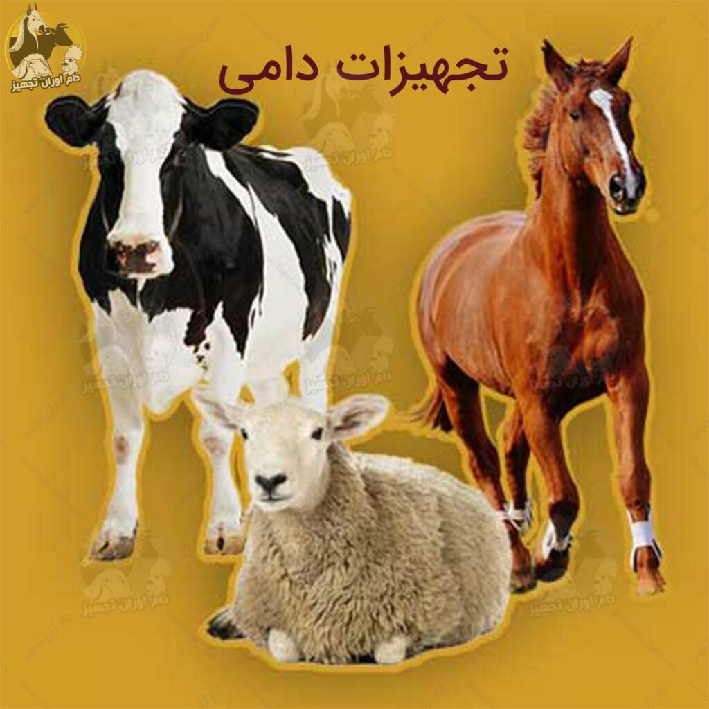 تجهیزات دامی