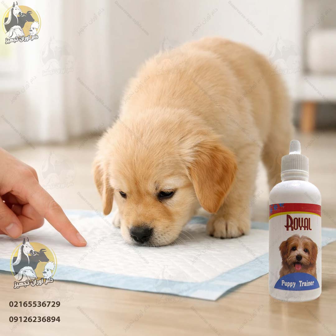 قطره آموزش ادرار رویال