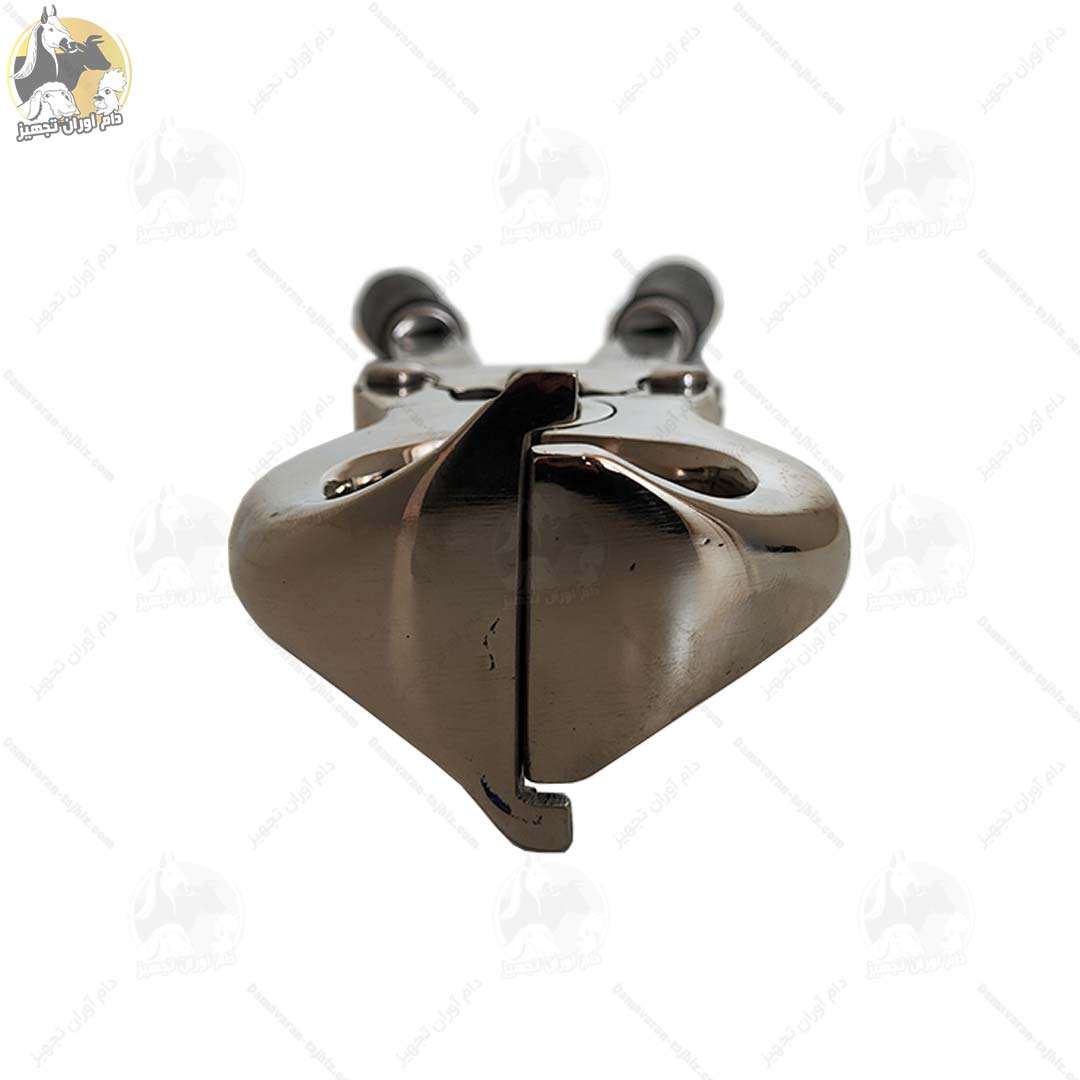 پنس-اخته-گاوی پنس اخته گاوی