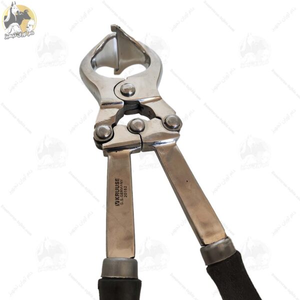 پنس اخته گاوی