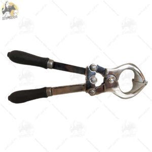 پنس اخته گاوی