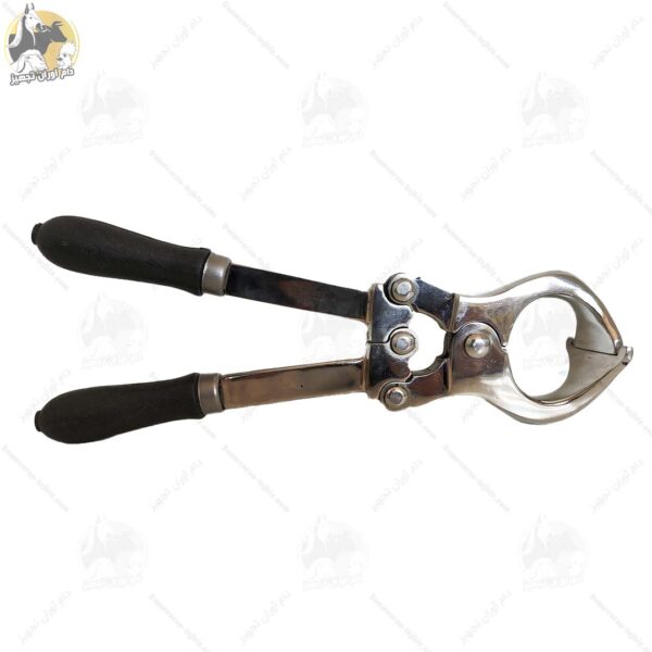 پنس اخته گاوی