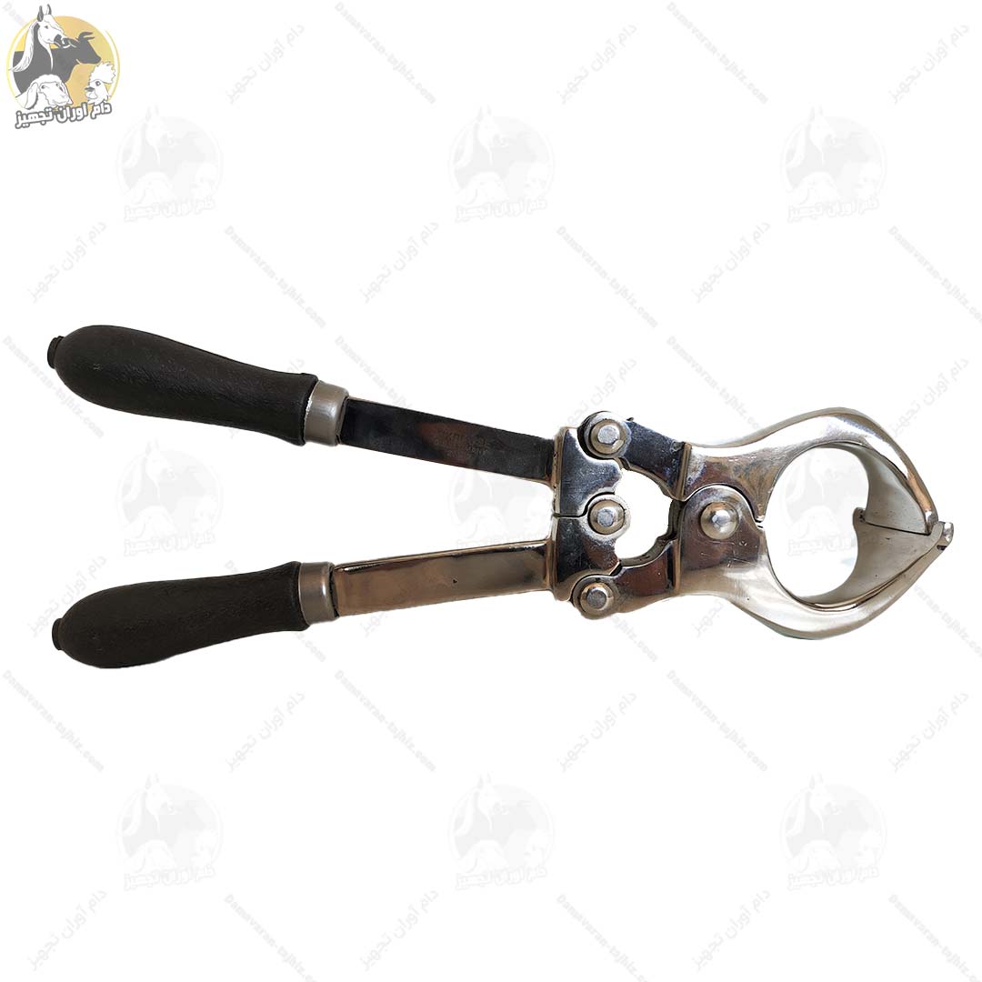 پنس-اخته-گاوی پنس اخته گاوی