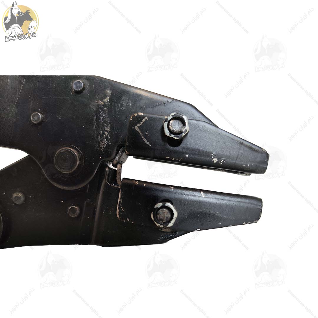 پنس-شماره-گوش-فلزی-گوسفندی-03 پنس شماره گوش فلزی گوسفندی