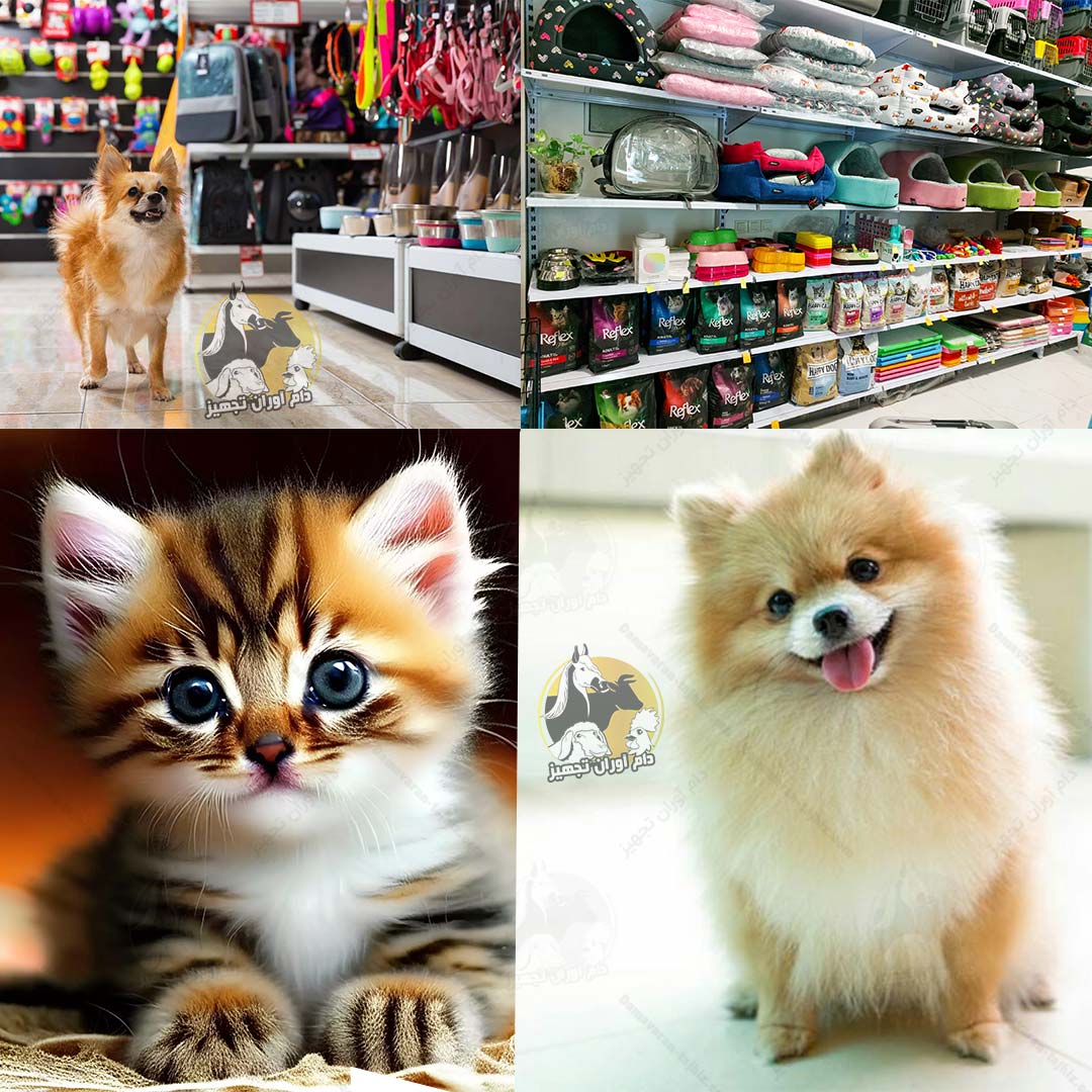 خرید لوازم پت شاپ آنلاین