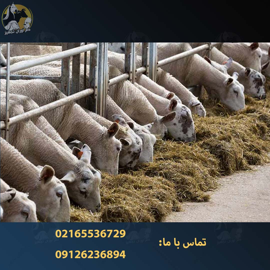 تجهیزات دامپزشکی و دامپروری