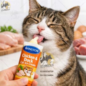 خرید بستنی گربه وینستون مرغ و اردک