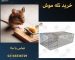 قیمت تله موش